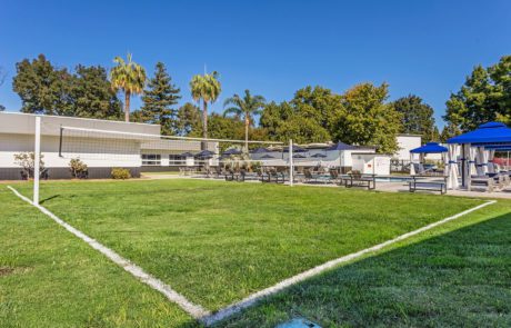 The Social Chico grass volleyball court